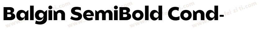 Balgin SemiBold Cond字体转换